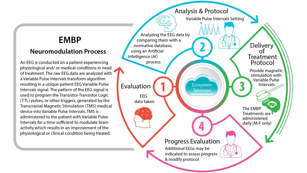 Energy Guided Brain - EMBP Process